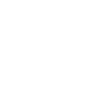Tech Innovators Inc.